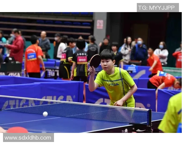 成都乒乓球队的崛起之路联合会杯背后的奋斗与荣耀