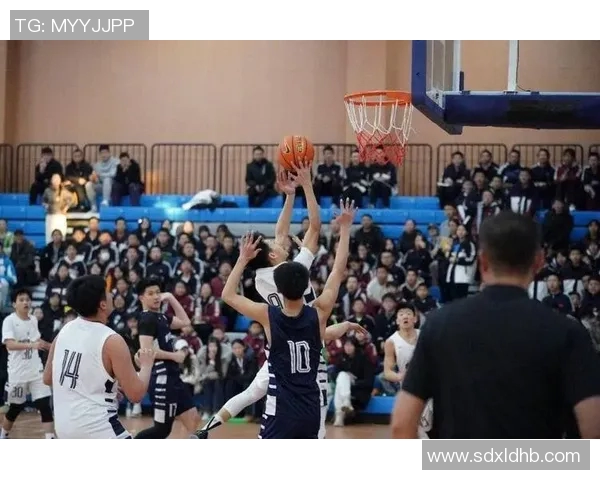 西安篮球队在篮球意识排名中创下新高展现团队实力与战术创新